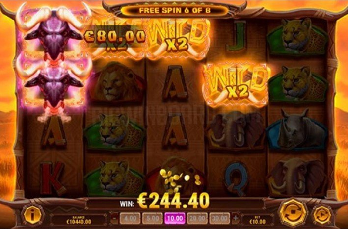 Explore winbeast no deposit bonus