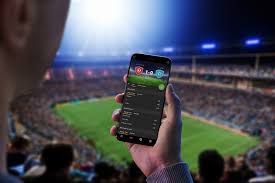 Betwinner Все, что Вам Нужно Знать о Ставках на Спорт