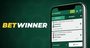 Experience the Thrill of Betting with the BetWinner App